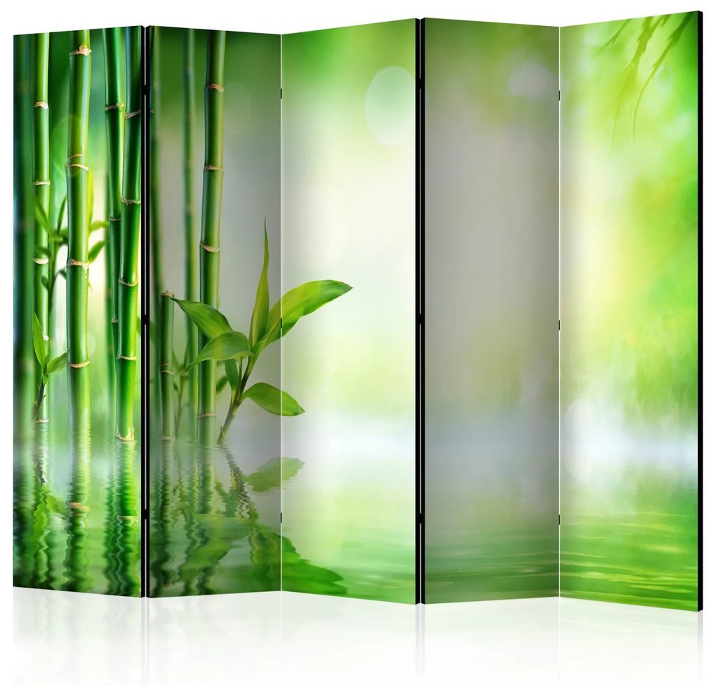 Διαχωριστικό με 5 τμήματα - Green Bamboo II [Room Dividers] 225x172