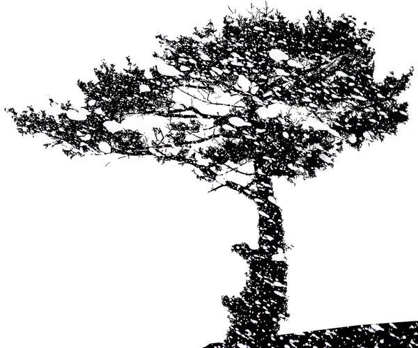 Εικόνα σιλουέτα ενός δέντρου - 120x60