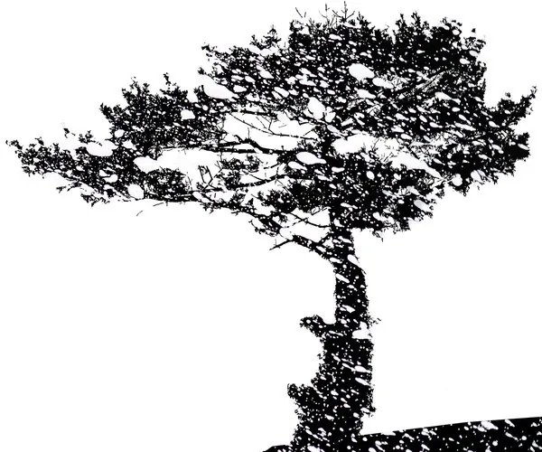 Εικόνα σιλουέτα ενός δέντρου