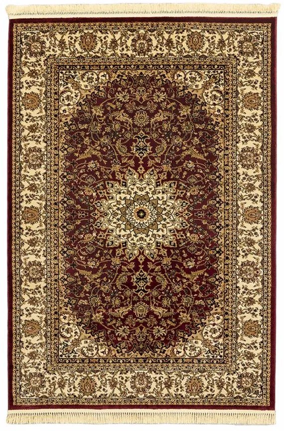 ΧΑΛΙ PERSIA 1019 BURGUNDY ΜΕ ΚΡΟΣΣΙ - 080X150  NewPlan - 5-79-PRS-13345_1019B-080X150