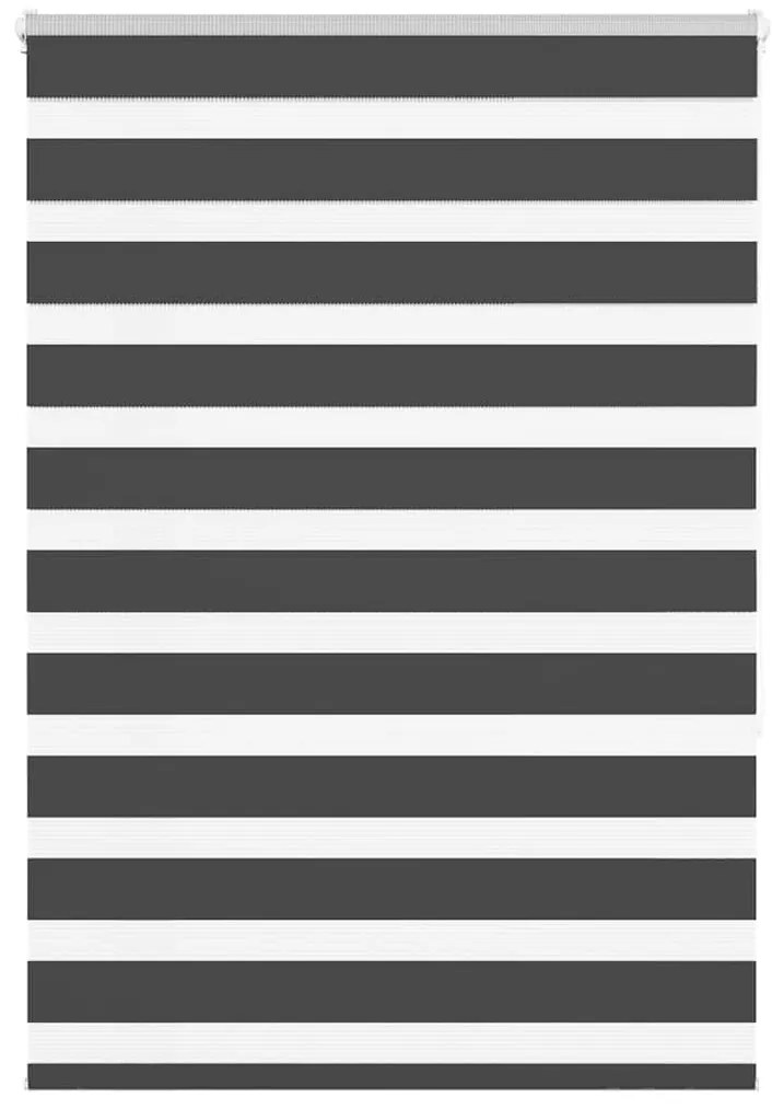 Ζέβρα τυφλή Μαύρο Πλάτος υφάσματος 105,9 εκ. Πολυεστέρας