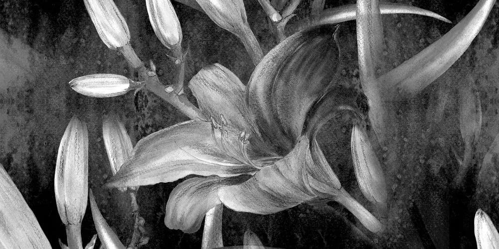 Εικόνα ενός ανθισμένου κρίνου σε ασπρόμαυρο - 120x60