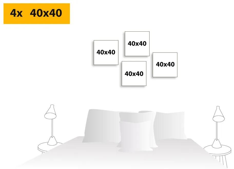 Σετ εικόνων ενδιαφέρον συνδυασμός του Φενγκ Σούι - 4x 60x60