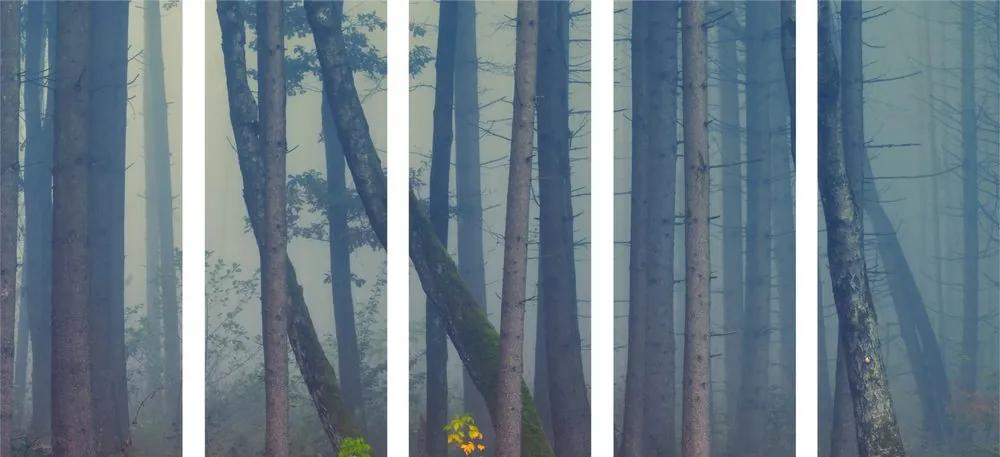 Εικόνα 5 τμημάτων μυστηριώδες δάσος - 100x50