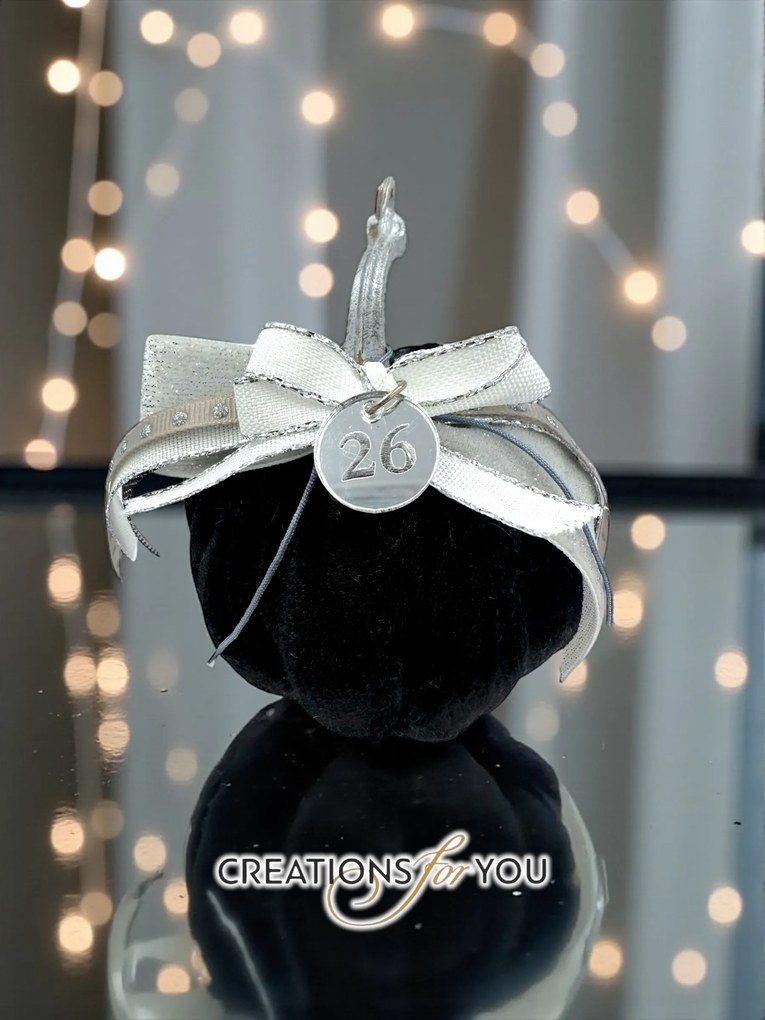 Κολοκύθα μαύρη βελούδινη μεσαία - Ασημί