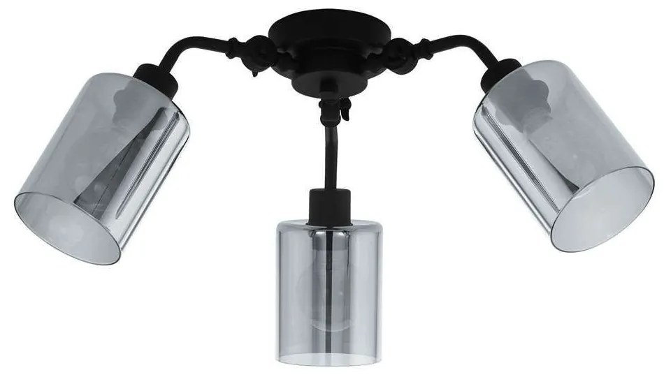 Φωτιστικό Οροφής-Πλαφονιέρα 'Forestburg' 43308 Black-Clear Eglo Metal, Glass