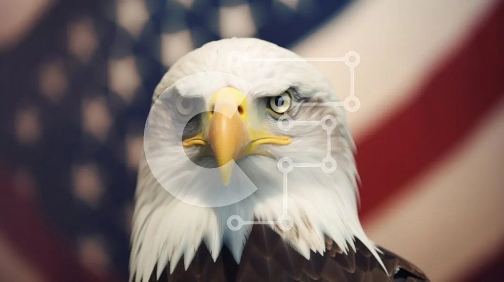 Σετ των 2 Intra Συλλεκτικό Ξύλινο Παζλ Plywood  4mm - Φαλακρός αετός κατά της αμερικανικής σημαίας Σε Ξύλινο Κουτί - Διαστάσεις: 10x10 cm – 25 κομμάτια