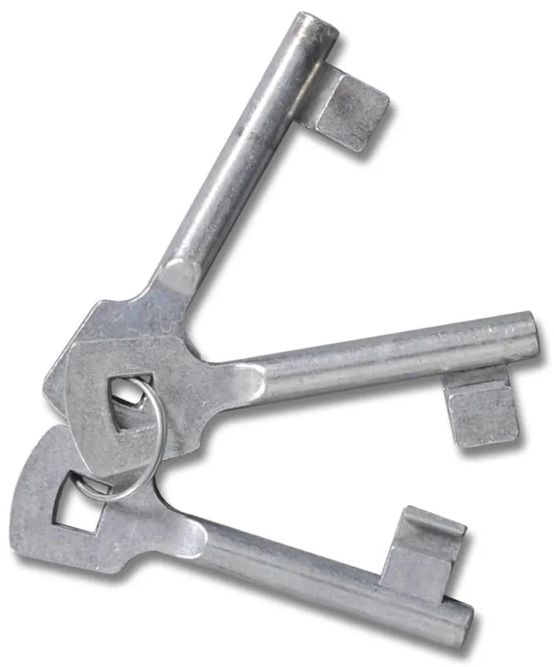 vidaXL Πόρτα με Διπλή Πόρτα και Φράχτη 300x150 εκ. από Ατσάλι με Ηλεκτροστατική Βαφή