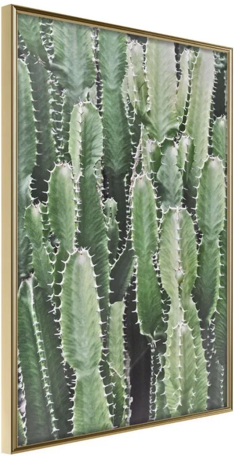 Αφίσα - Cactus Plantation - 30x45 - Χρυσό - Χωρίς πασπαρτού