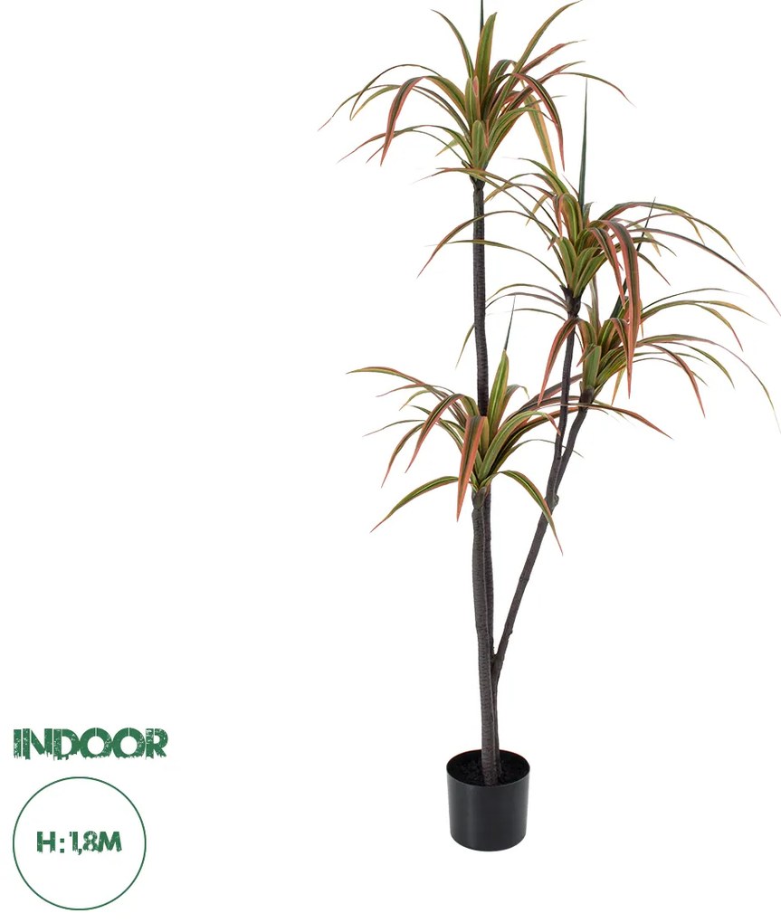 20372 GloboStar® Artificial Garden DRAGON BLOOD TREE 20372 - Τεχνητό Διακοσμητικό Φυτό Δράκαινα Υ180cm