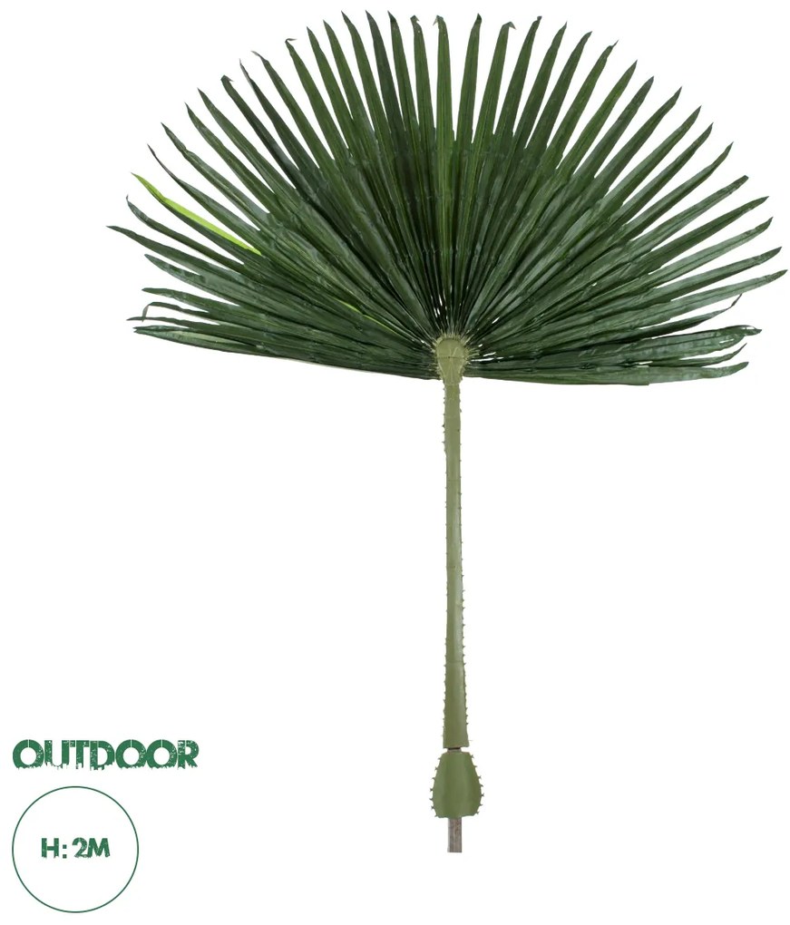 20171 GloboStar® Artificial Garden WASHINGTONIA FILIFERA PALM LEAF 20171 Τεχνητό Διακοσμητικό Φύλο Φοινικόδεντρου Βεντάλια Π170 x Υ200cm