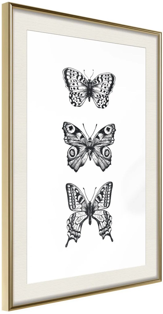 Αφίσα - Butterfly Collection III A - 20x30 - Χρυσό - Με πασπαρτού