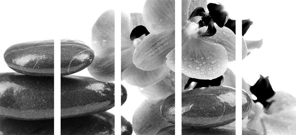 Εικόνα 5 τμημάτων SPA πέτρες και ορχιδέα σε ασπρόμαυρο
