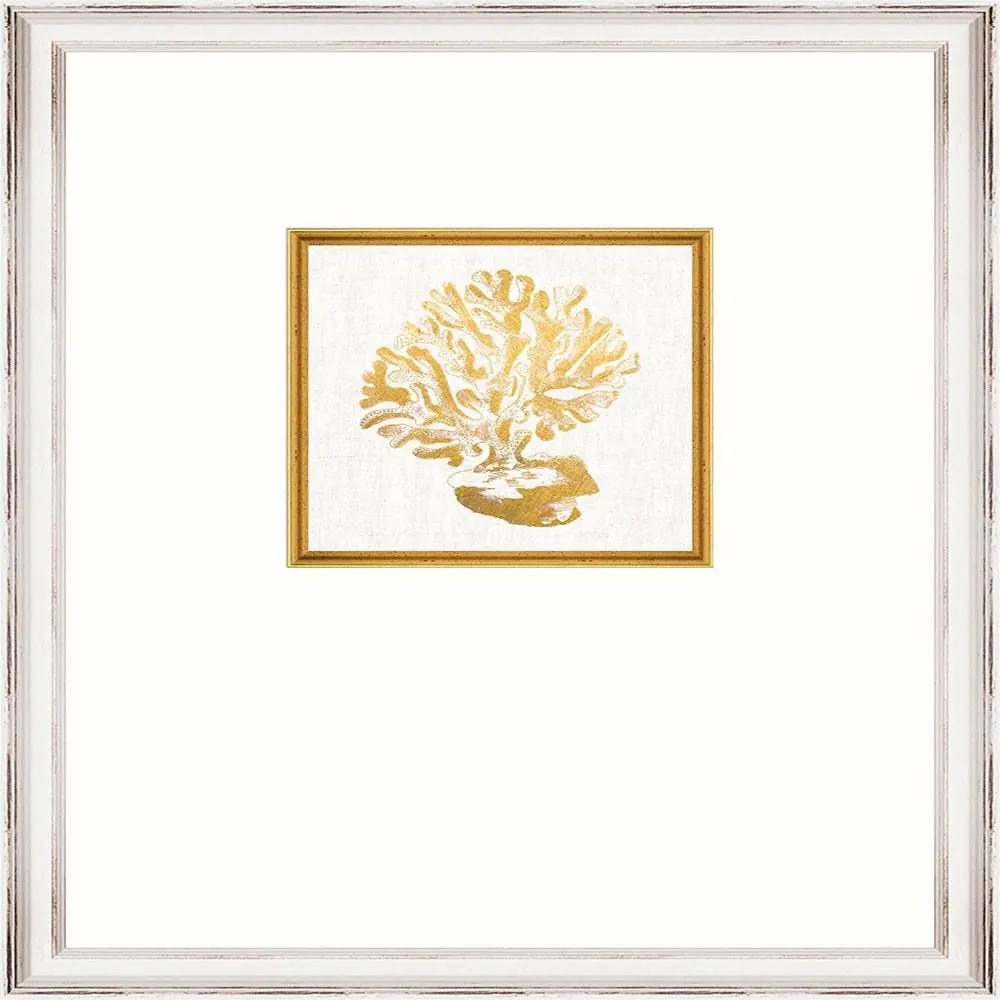 Κάδρο Coral Fa13362 35X45Cm White-Gold Mindthegap Κάθετοι Wood