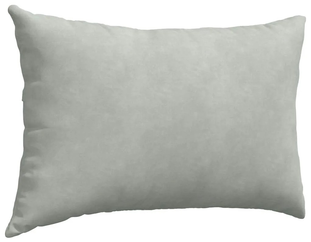 vidaXL Μαξιλάρι Καναπέ 2 pcs Ανοιχτό γκρι 60 x 40 cm