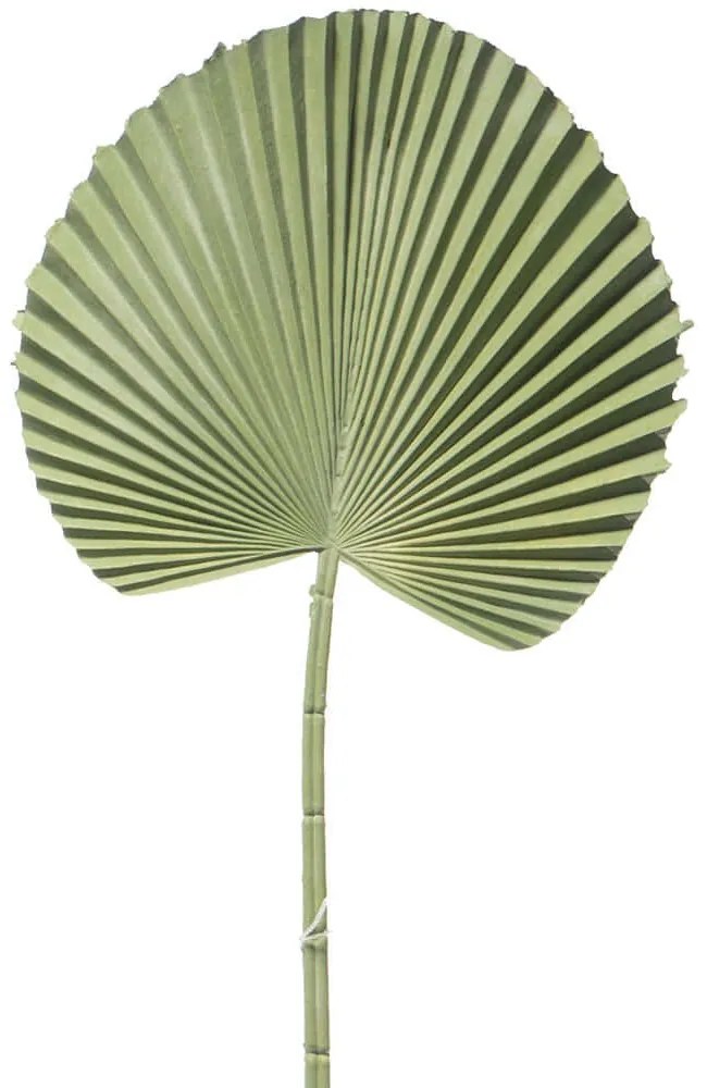 Τεχνητό Φύλλο Φοίνικα Licuala 3271-7 52cm Green Supergreens Πολυαιθυλένιο