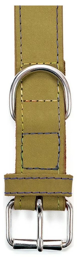 Κολλάρο Σκύλου Gloria Oasis Πράσινο (50 x 2,1 cm)