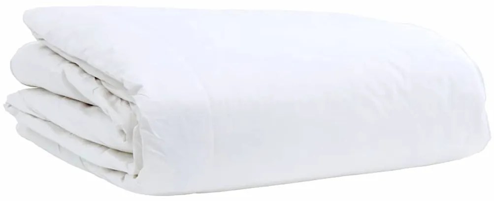 vidaXL Καλοκαιρινό Παπλωματοθήκη με μαξιλάρι 2 pcs Λευκό Φτέρος