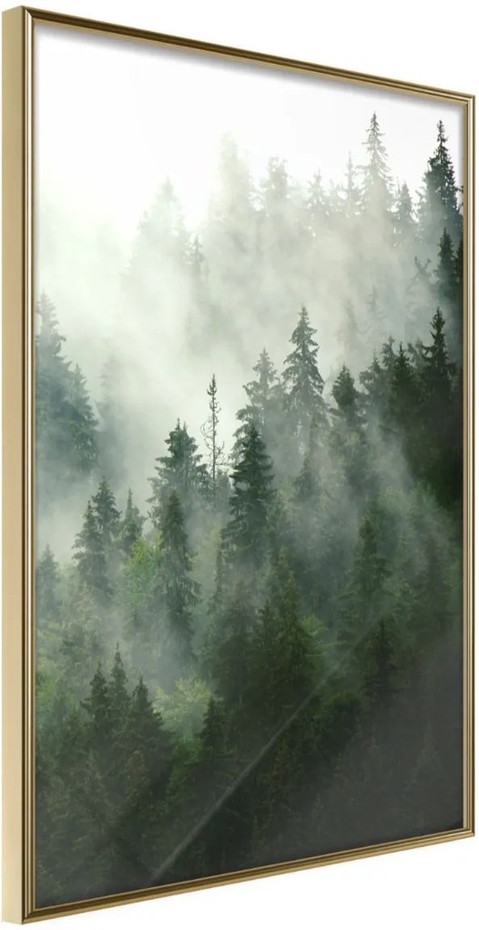 Αφίσα - Steaming Forest - 20x30 - Χρυσό - Χωρίς πασπαρτού