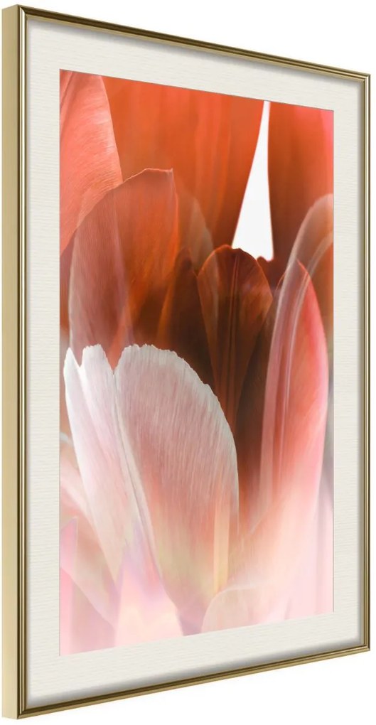 Αφίσα - Tulip Petals - 20x30 - Χρυσό - Με πασπαρτού