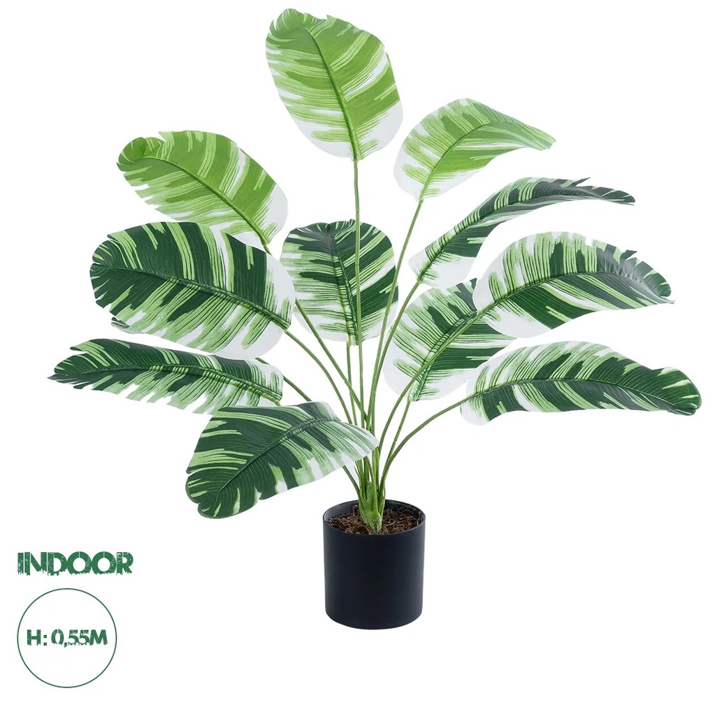 GloboStar® Artificial Garden BANANA ZEBRA 20929 Διακοσμητικό Φυτό Μπανανιά Ζέβρα Υ55cm