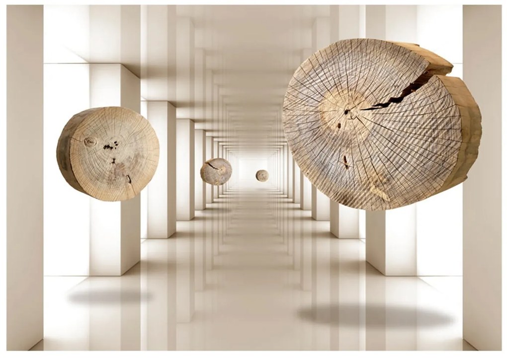 Φωτοταπετσαρία - Flying Discs of Wood 200x140