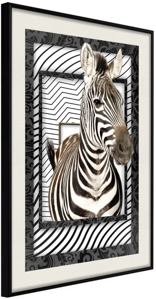 Αφίσα - Zebra in the Frame - 20x30 - Μαύρο - Με πασπαρτού