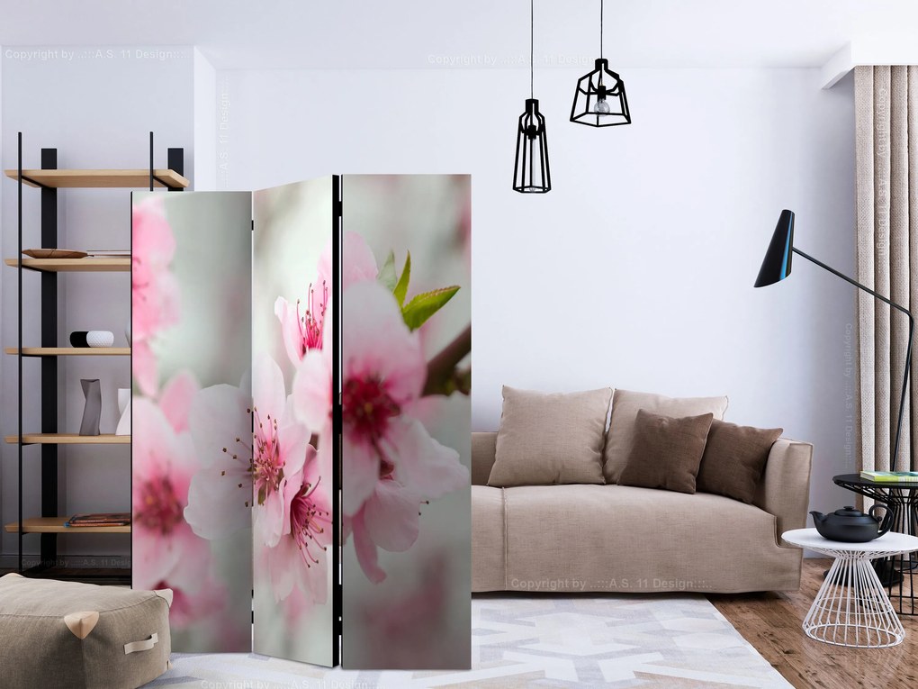 Διαχωριστικό με 3 τμήματα - Spring, blooming tree - pink flowers [Room Dividers]