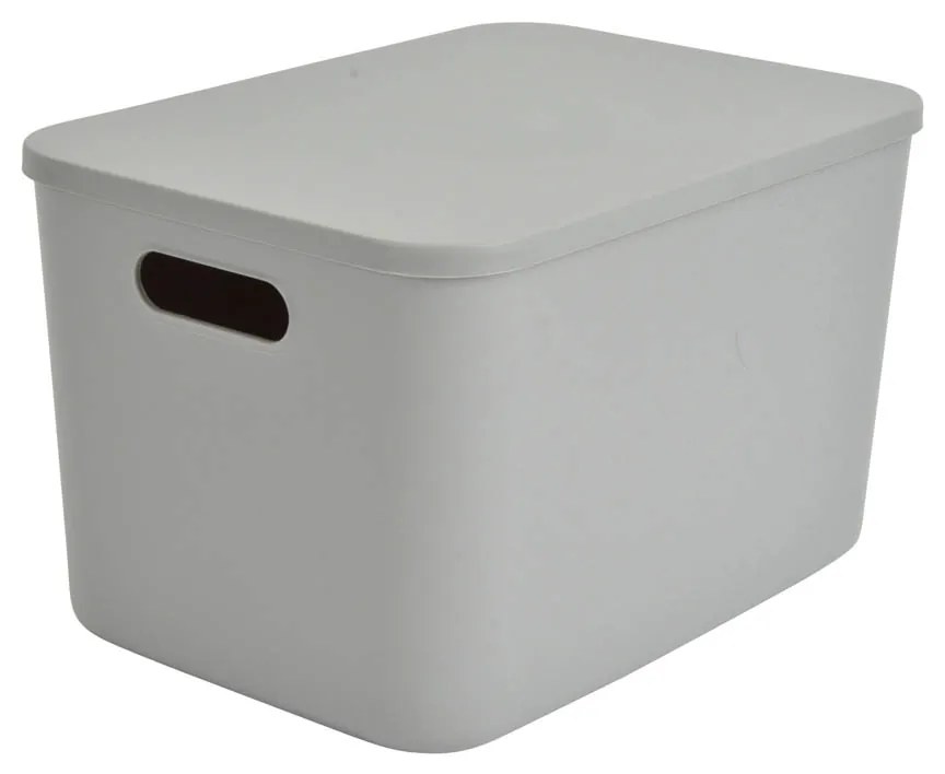 Κουτί Αποθήκευσης (35x25x21.5) L-C Gris 6RAN842GR
