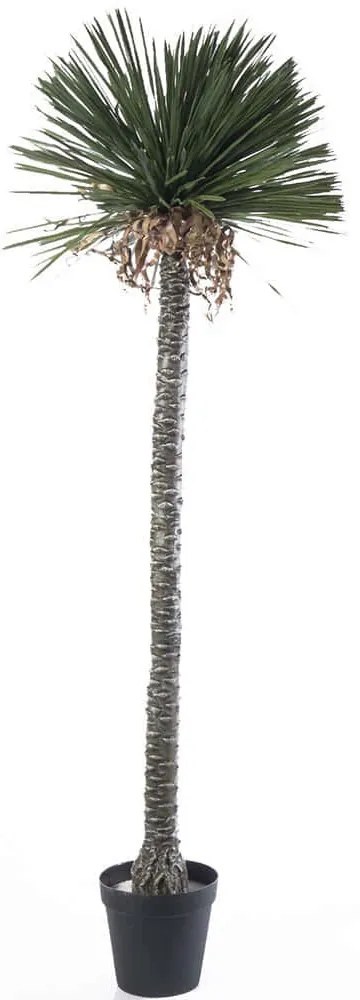 Τεχνητό Δέντρο Γιούκα Texan Rostrata 3001-6 210cm Green Supergreens Πολυαιθυλένιο