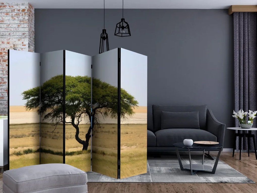 Διαχωριστικό με 5 τμήματα - Etosha National Park, Namibia II [Room Dividers]