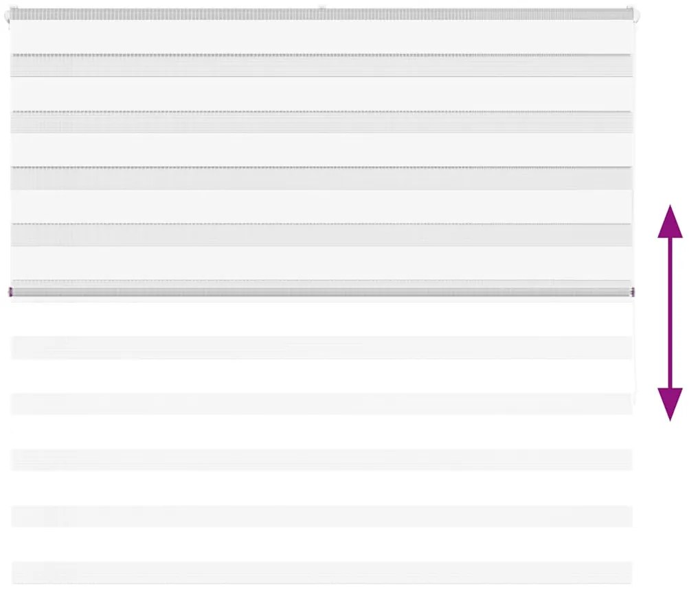 Ζέβρα τυφλή Καφέ Πλάτος υφάσματος 155,9 εκ. Πολυεστέρας - Λευκό