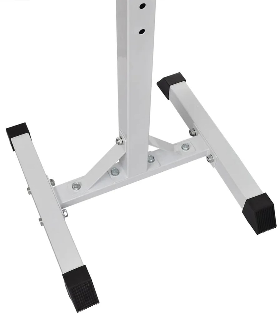vidaXL Ορθοστάτης Μπάρας/Squat Rack με Σετ Μπάρα και Αλτήρες 30,5 κ.