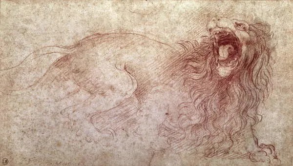 Αναπαραγωγή Sketch of a roaring lion, Leonardo da Vinci