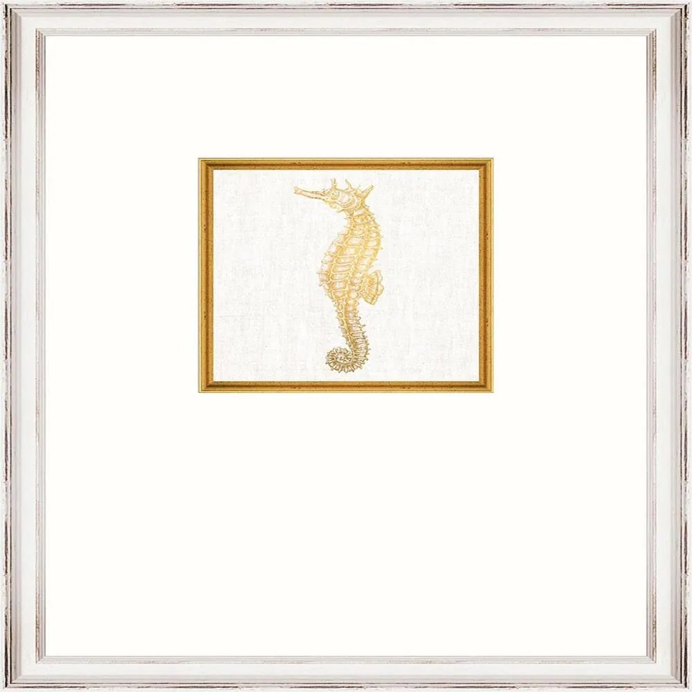 Κάδρο Seahorse Fa13366 35X45Cm White-Gold Mindthegap Κάθετοι Wood