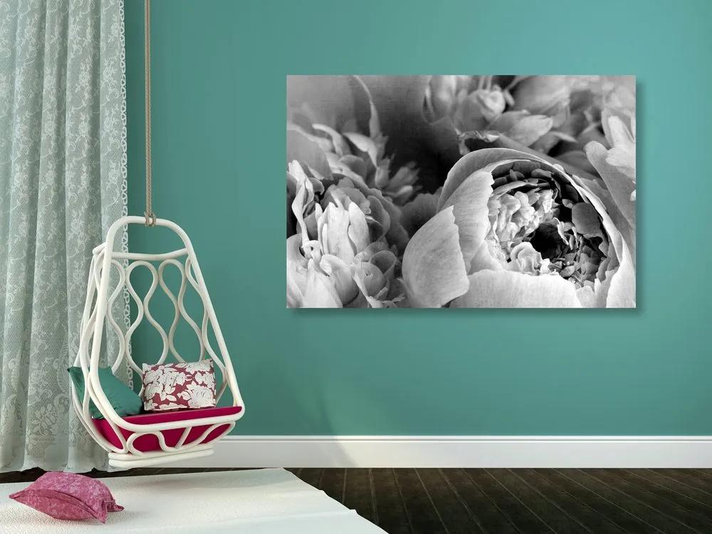 Εικόνα ασπρόμαυρα πέταλα ενός λουλουδιού - 60x40