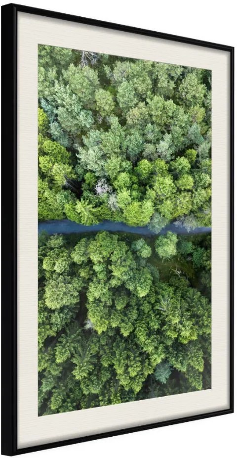 Αφίσα - Forest from a Bird's Eye View - 20x30 - Μαύρο - Με πασπαρτού