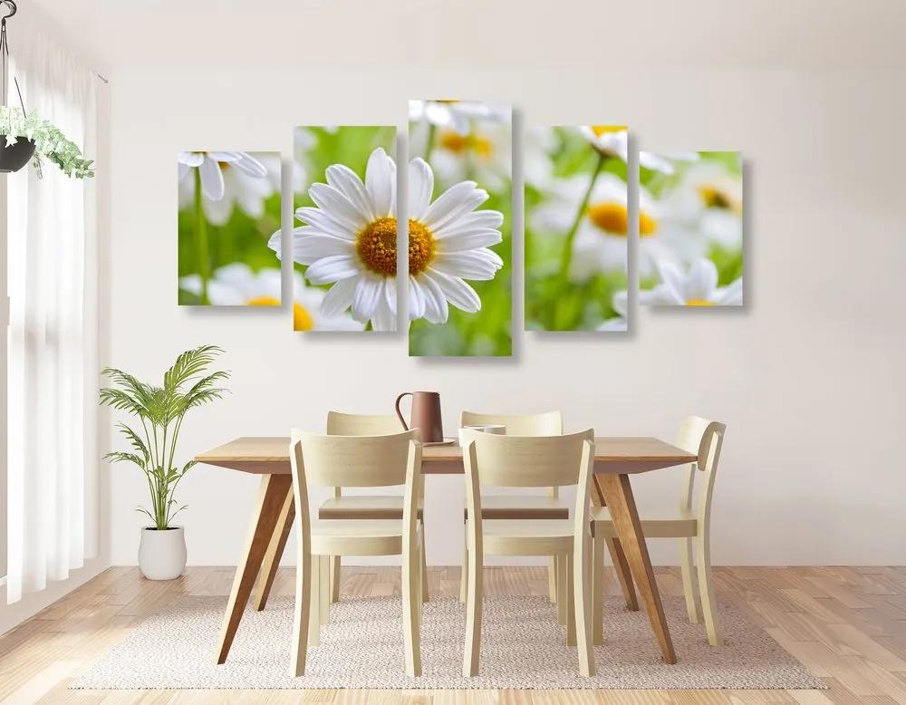Εικόνα 5 μερών ανοιξιάτικο λιβάδι γεμάτο λουλούδια