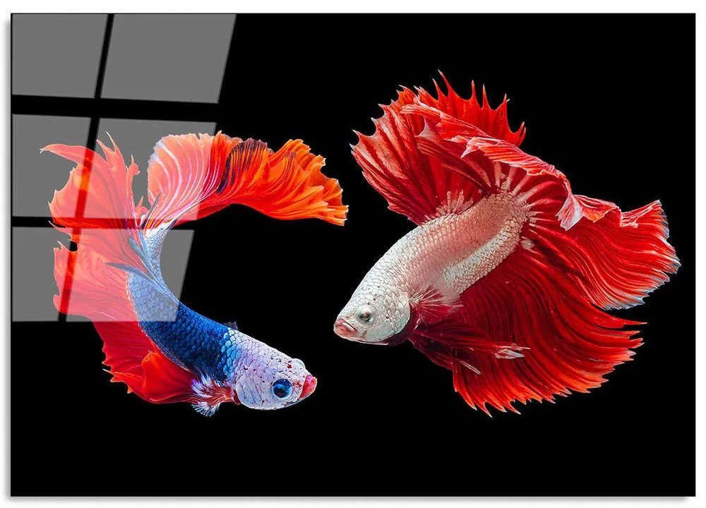 Πίνακας Γυάλινος 123BZM1230 100x70cm Multi Wallity Οριζόντιοι Glass