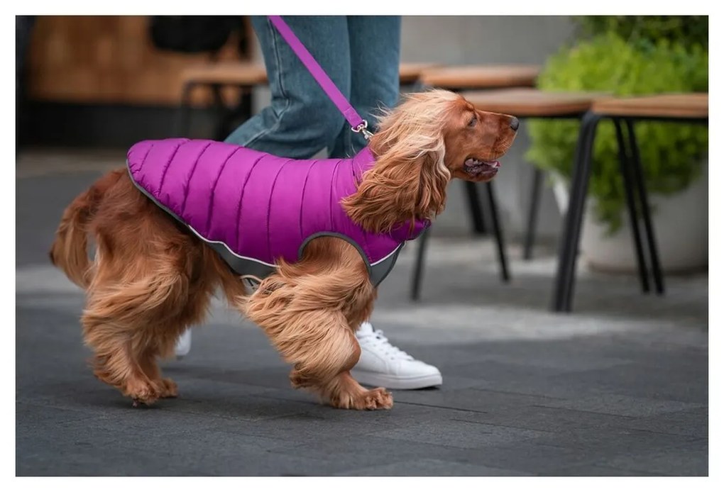 Παλτό Σκύλου Red Dingo Puffer 50 cm Ροζ/Μωβ