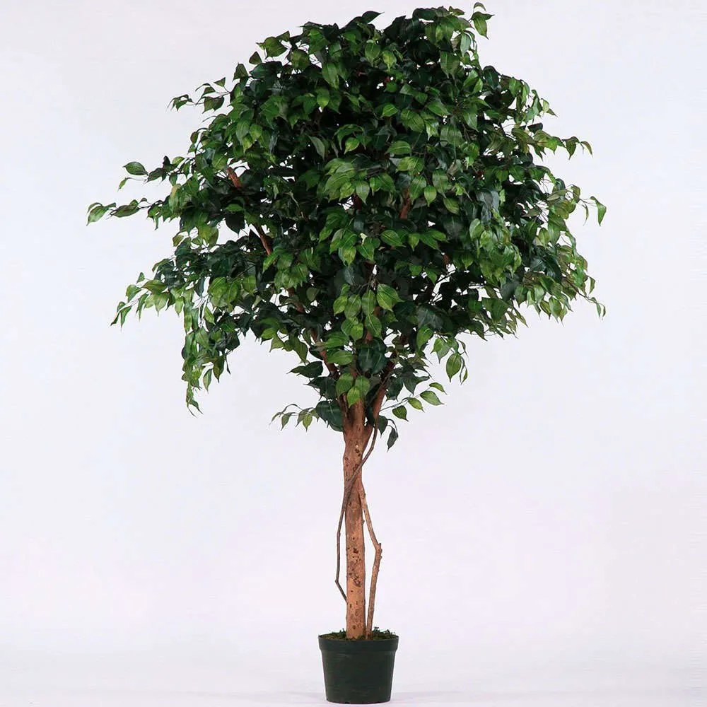 Τεχνητό Δέντρο Φίκος 5140-6 160x230cm Green Supergreens Πολυαιθυλένιο