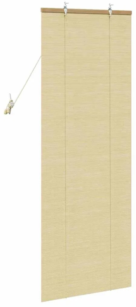vidaXL Ρολά και Σκίες Παραθύρων Φυσικό 60 x 160 εκ. Μπαμπού
