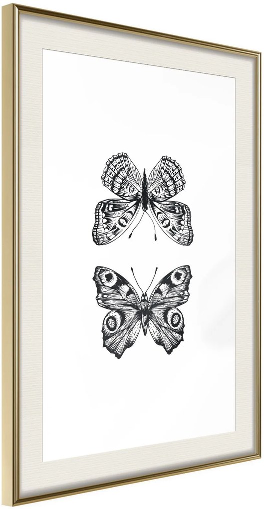 Αφίσα - Butterfly Collection I - 20x30 - Χρυσό - Με πασπαρτού