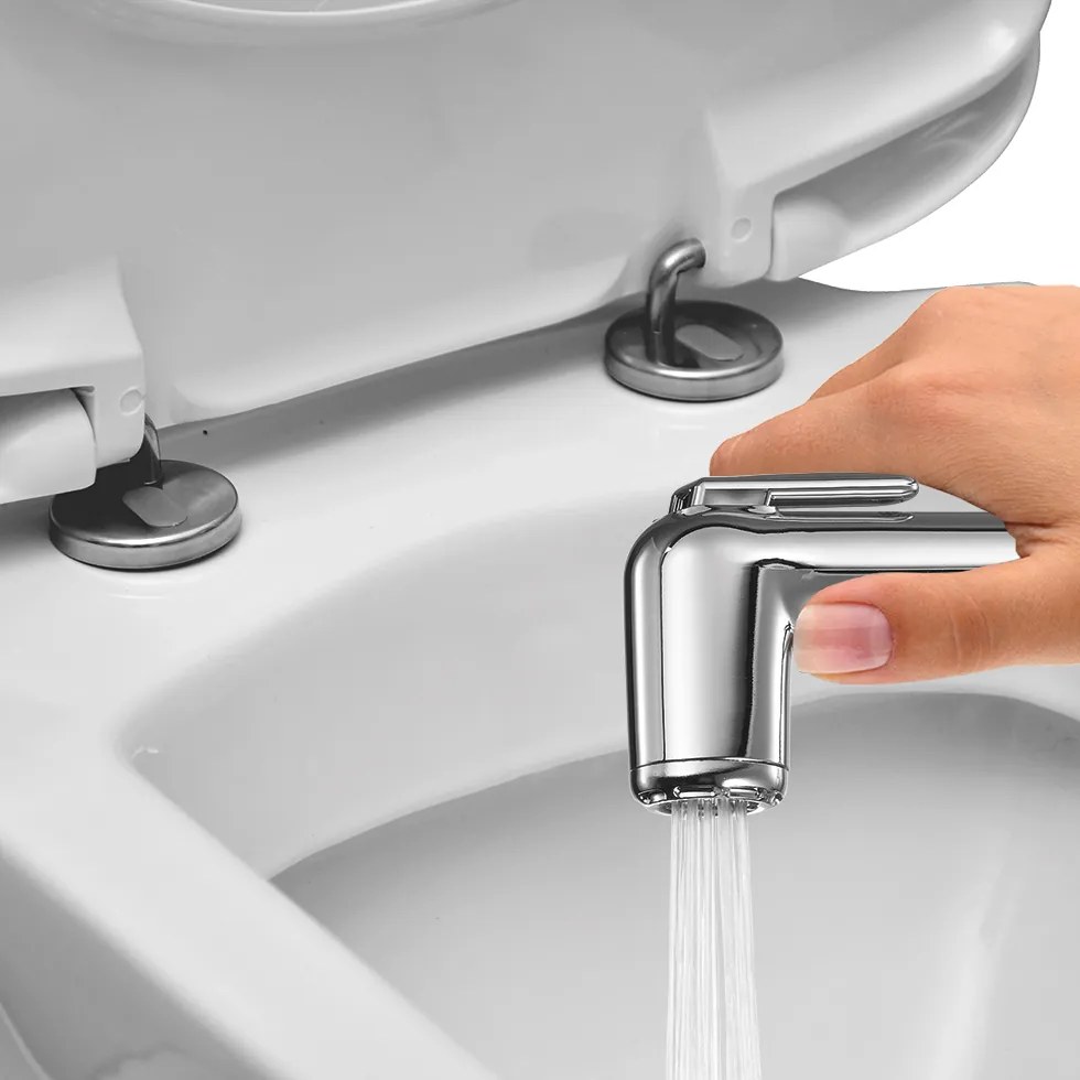 Τηλέφωνο ντουζ Flush Ι