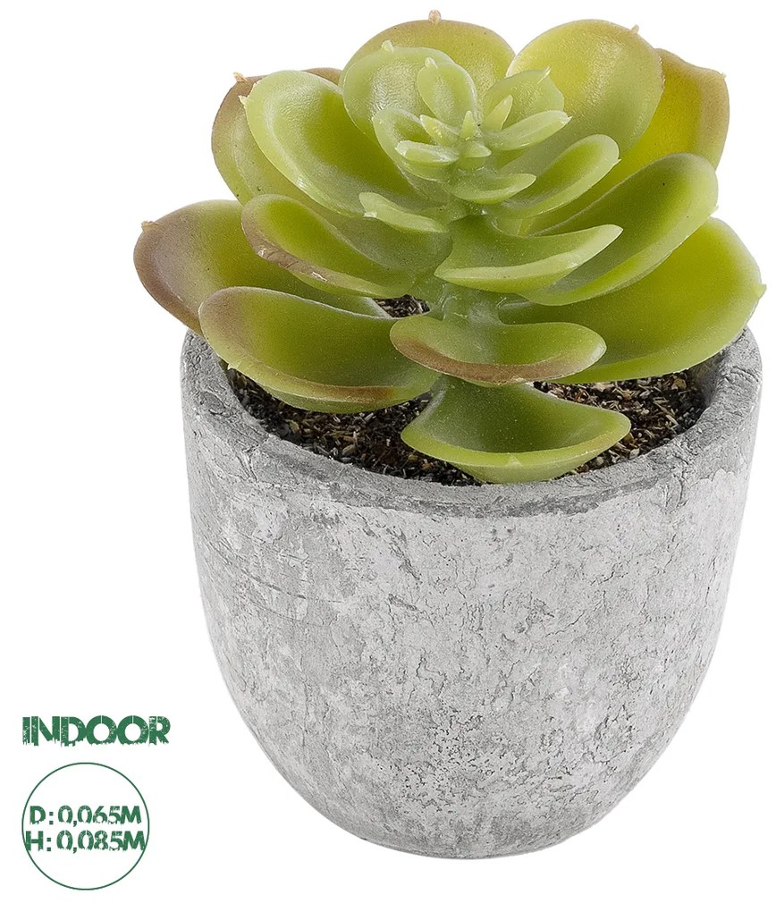 Artificial Garden SUCCULENT SEDEVERIA 21021 Διακοσμητικό Φυτό Παχύφυτο Σεντεβέρια Υ8.5cm