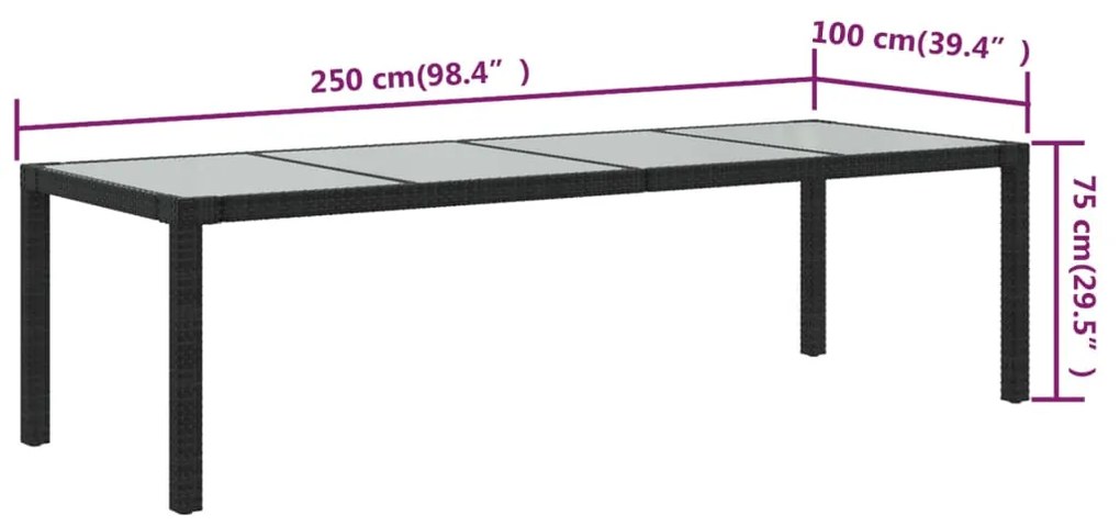 vidaXL Τραπέζι Κήπου Μαύρο 250x100x75 εκ. Ψημένο Γυαλί/Συνθετικό Ρατάν