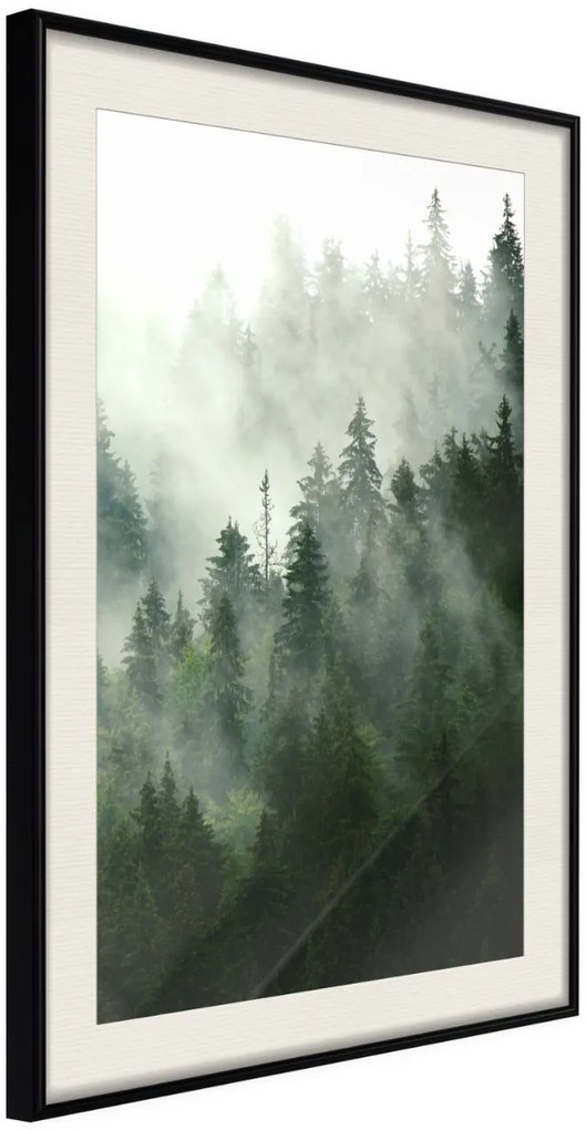 Αφίσα - Steaming Forest - 30x45 - Μαύρο - Με πασπαρτού