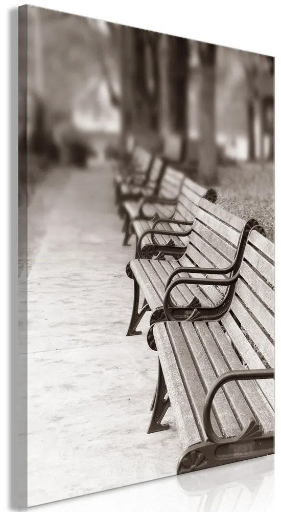 Πίνακας - Park Benches (1 Part) Vertical - 80x120