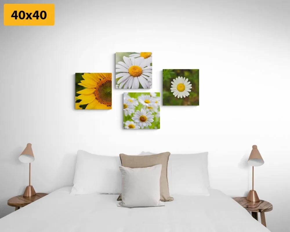 Σετ εικόνων Λιβάδι λουλούδια - 4x 60x60