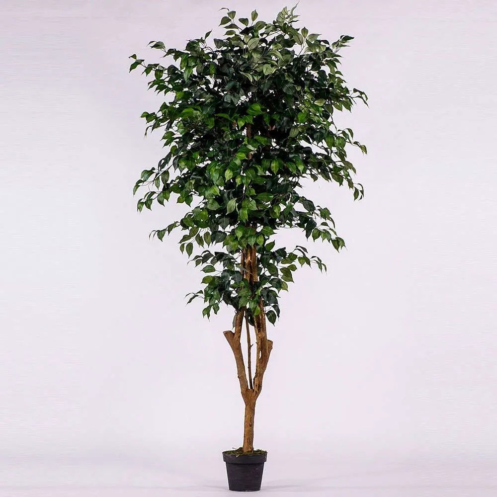Τεχνητό Δέντρο Φίκος 0240-6 195cm Green Supergreens Polyethylene,Fabric